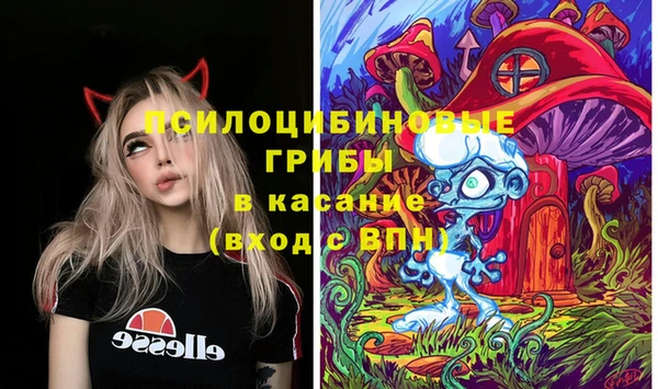 ПСИЛОЦИБИНОВЫЕ ГРИБЫ Волгодонск