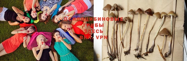 прущая мука Куйбышев