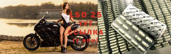jwh Краснослободск