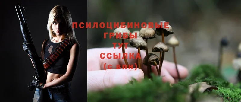 Галлюциногенные грибы MAGIC MUSHROOMS  дарнет шоп  darknet наркотические препараты  Сафоново  blacksprut ССЫЛКА 